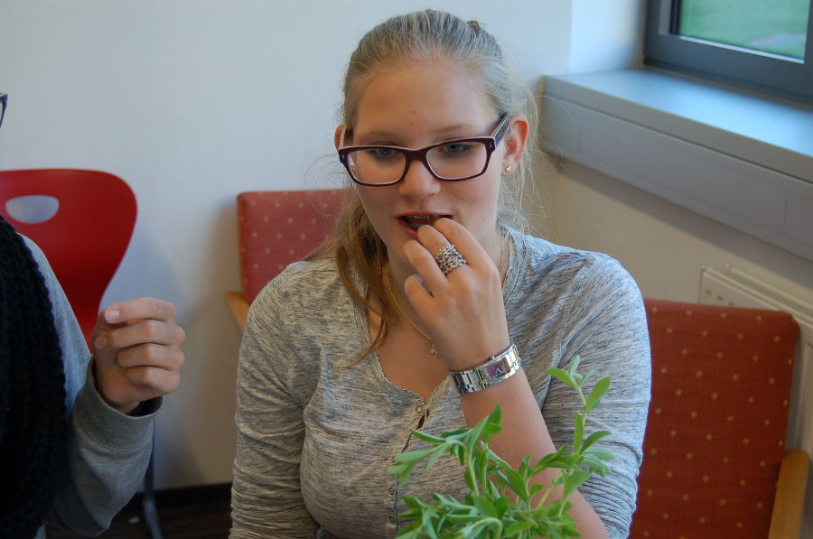 Kräuterrallye