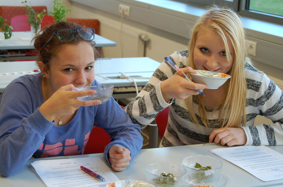 Kräuterrallye