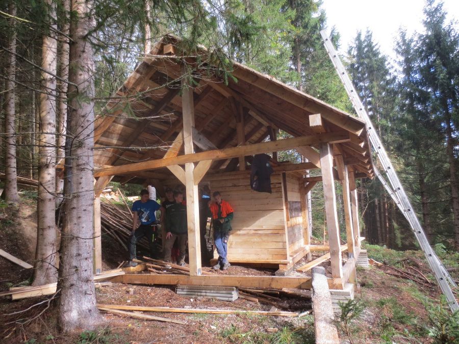 Rehfütterung 4