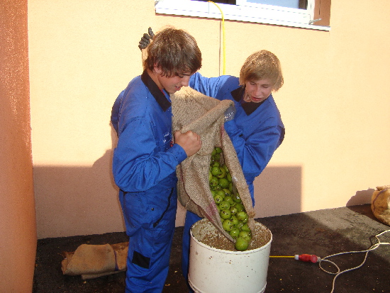 Obstaufbereitung