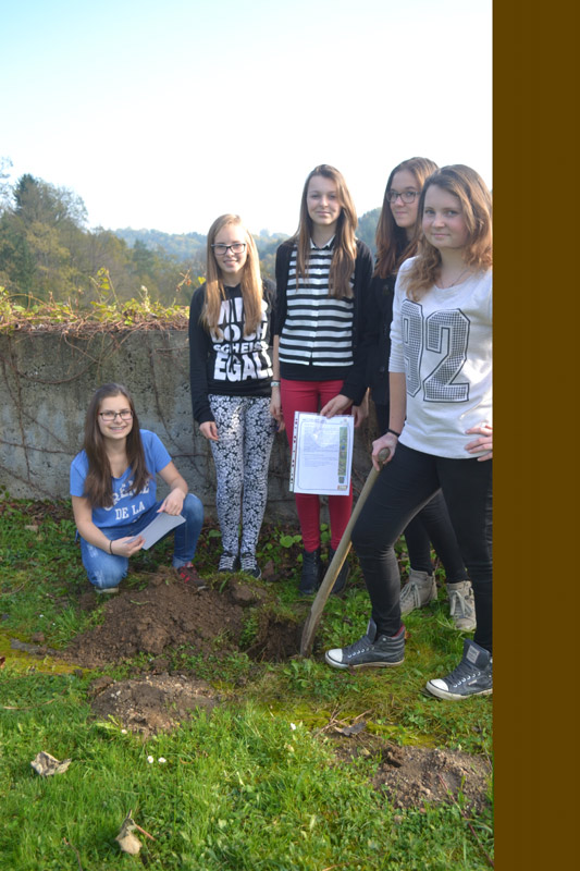 Bodenproben aus dem Schulareal Bodenproben aus dem Schulareal