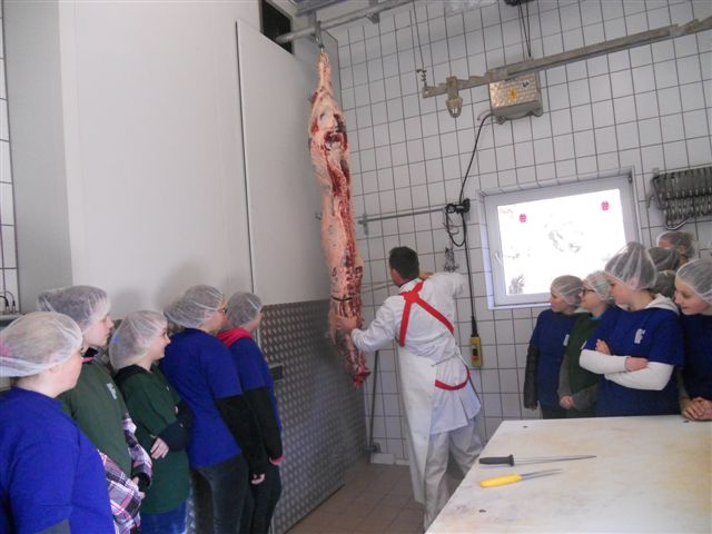 Aufteilen von Rinderhälten