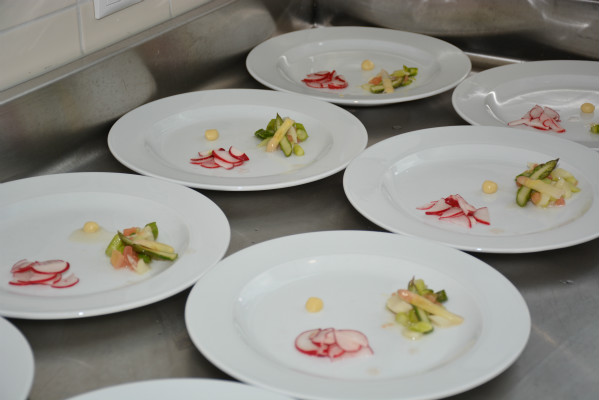 Gala Frühlingserwachen