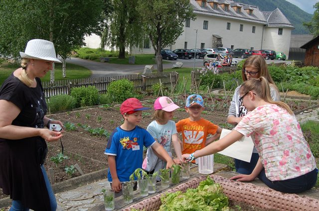 Ökologieprojekt