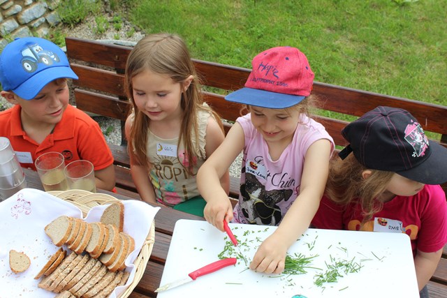 Ökologieprojekt