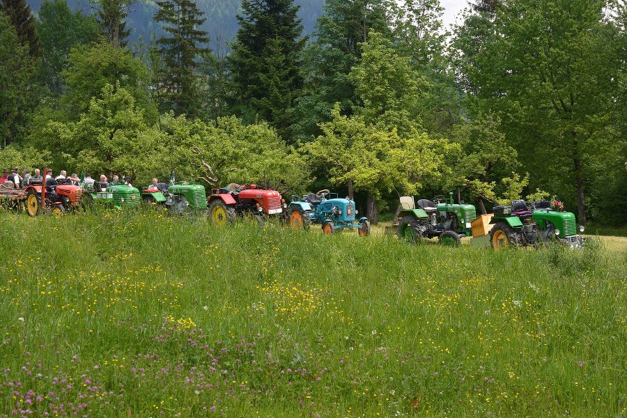 AV-Treffen 2015