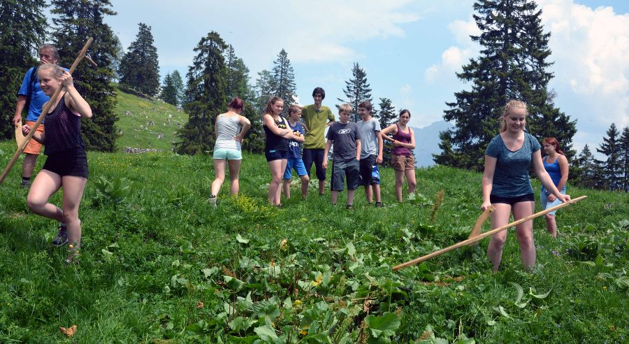 Almpädagogik 2015