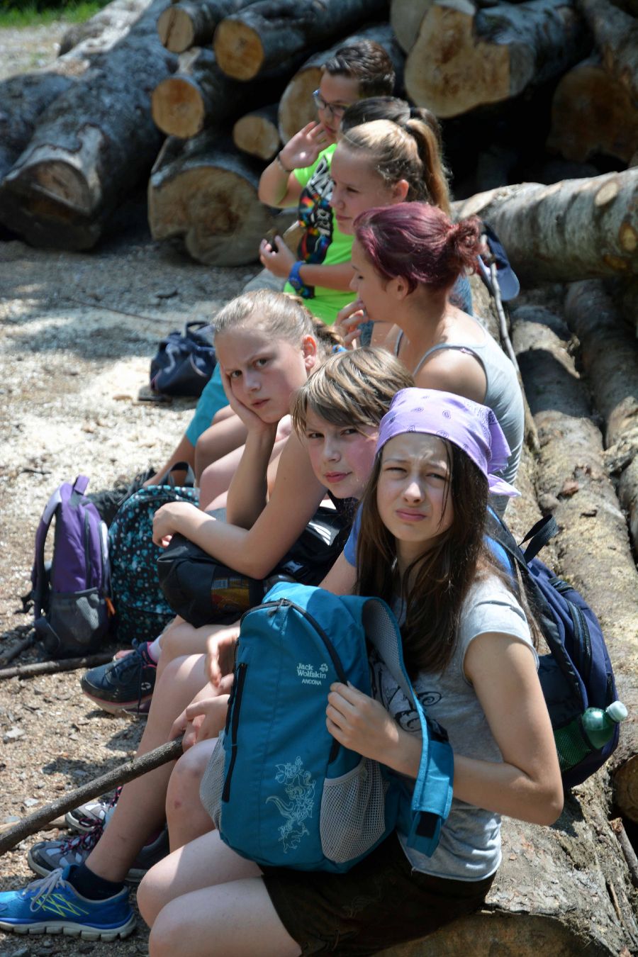 Almpädagogik 2015