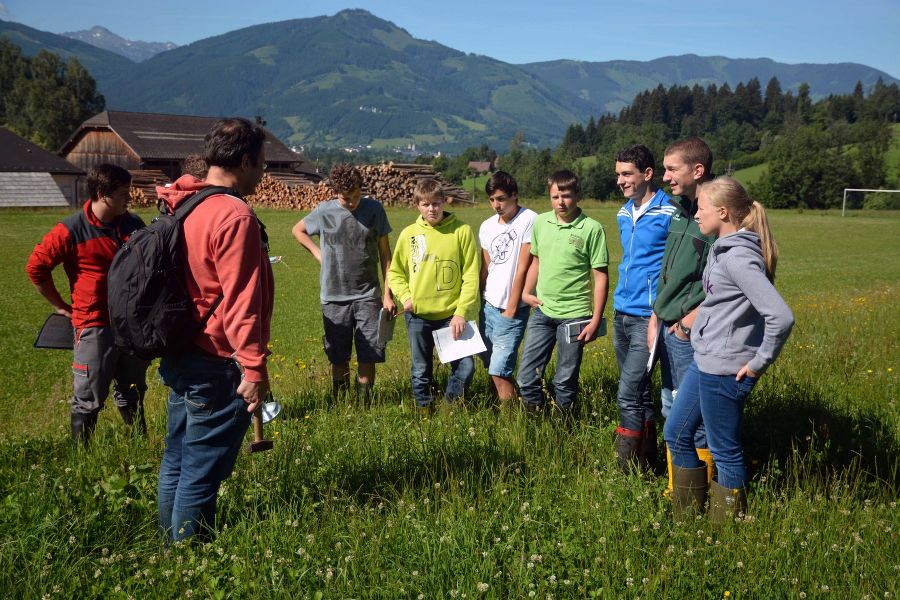 Biodiversität Biodiversität