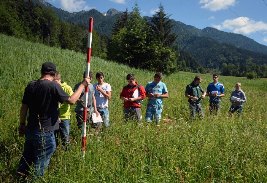 Biodiversität Biodiversität