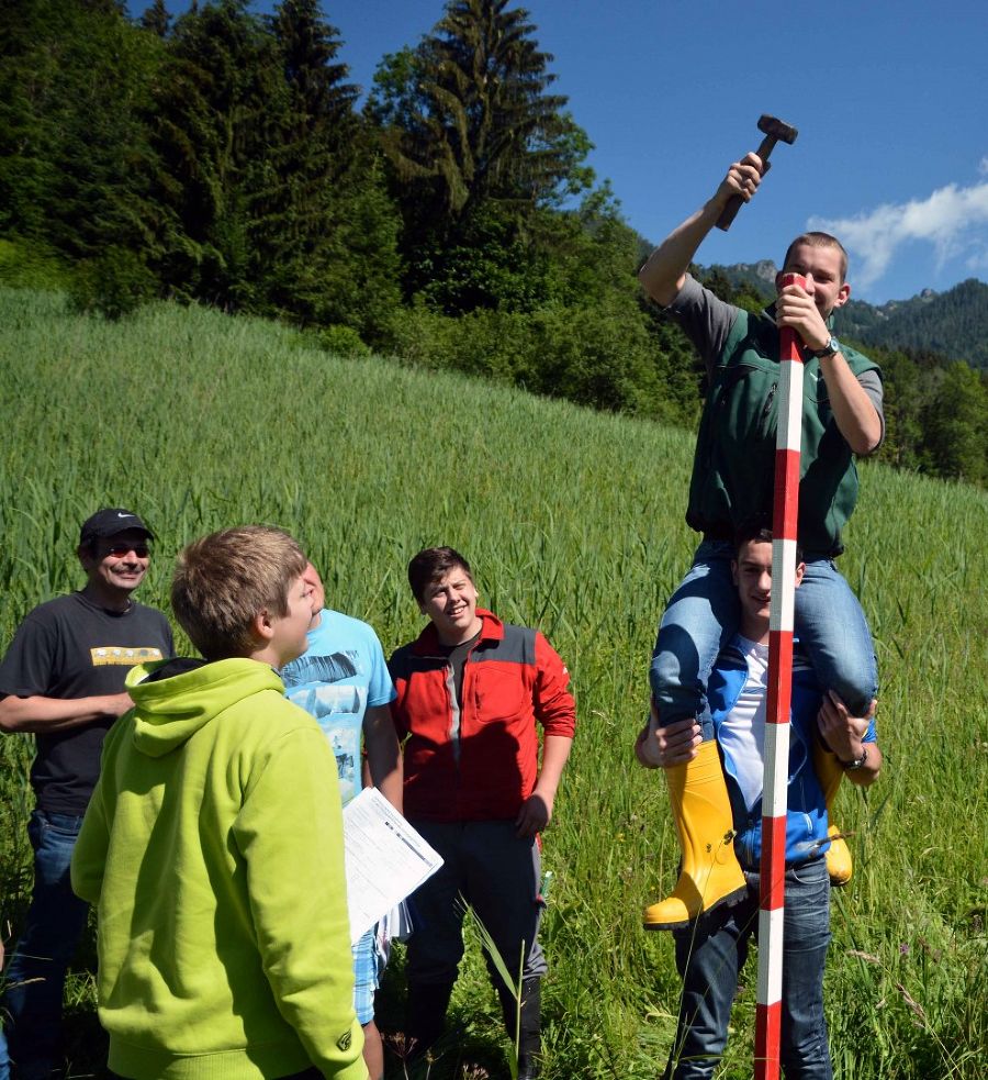 Biodiversität Biodiversität