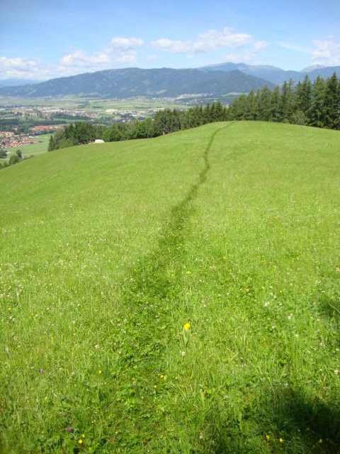 Kraft aus der Natur