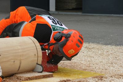 Forstwettbewerb © LFS Kirchberg/Walde Forstwettbewerb