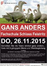 Gans anders © FS Feistritz