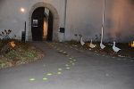 Gala "Gans anders" © Kevin Geissler