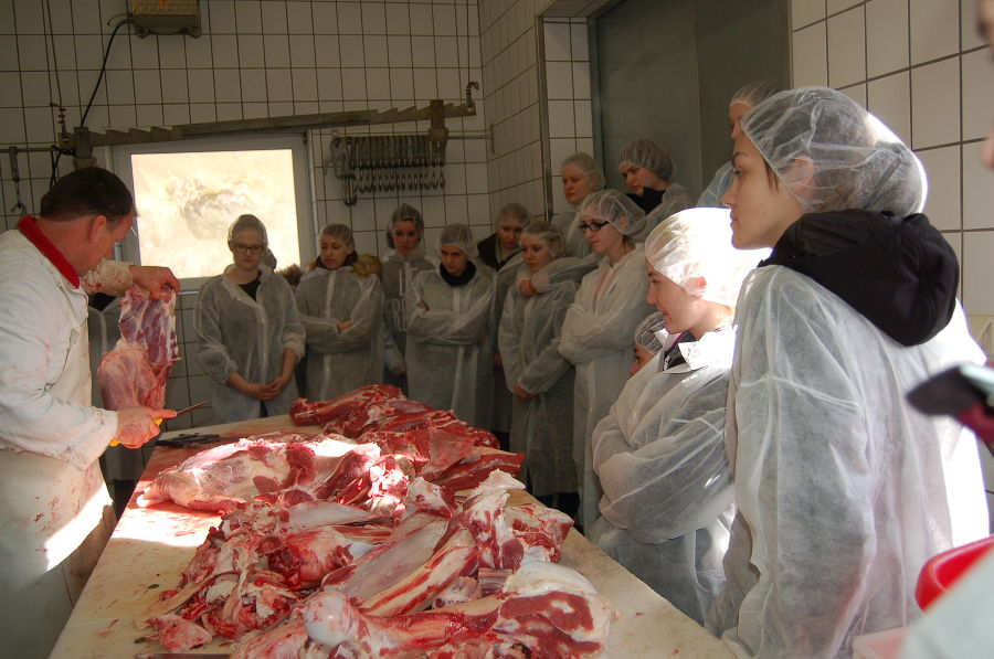 Rind zerteilen