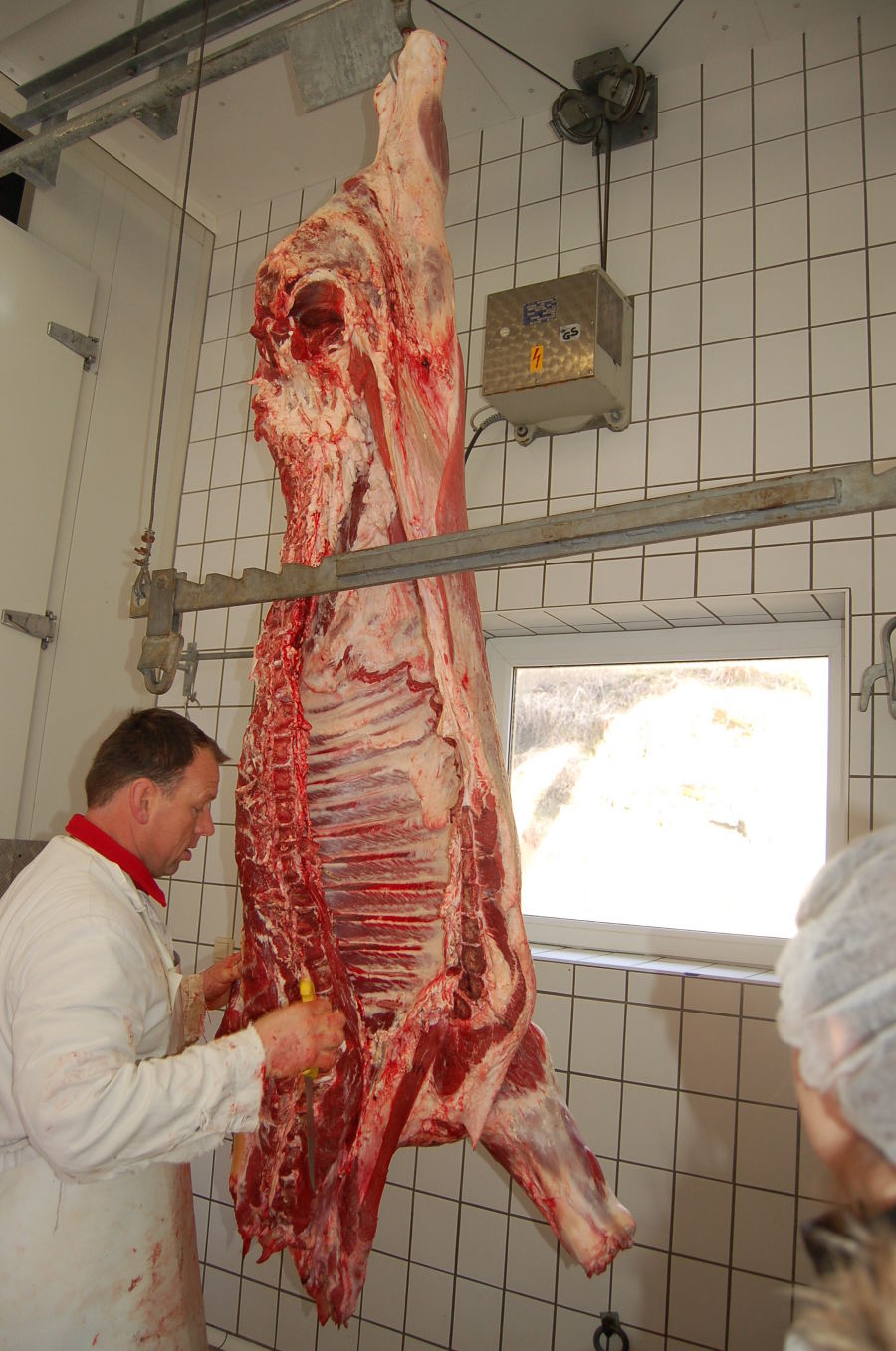 Rind zerteilen