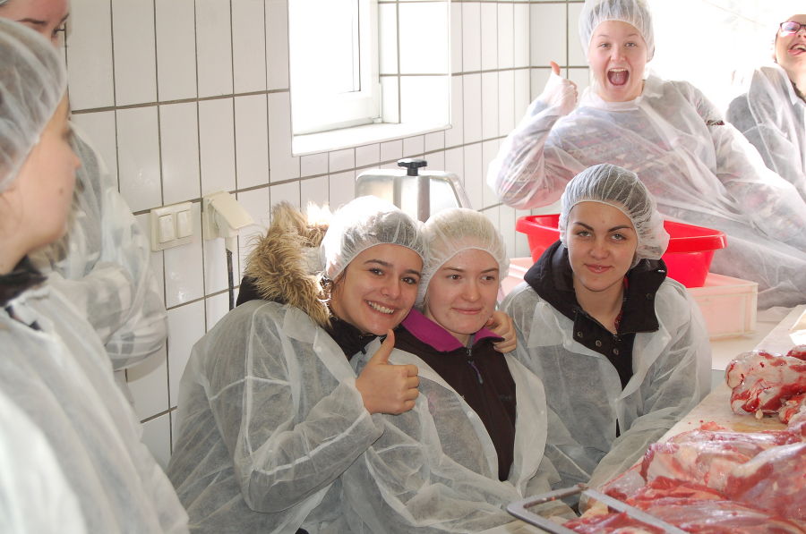 Rind zerteilen