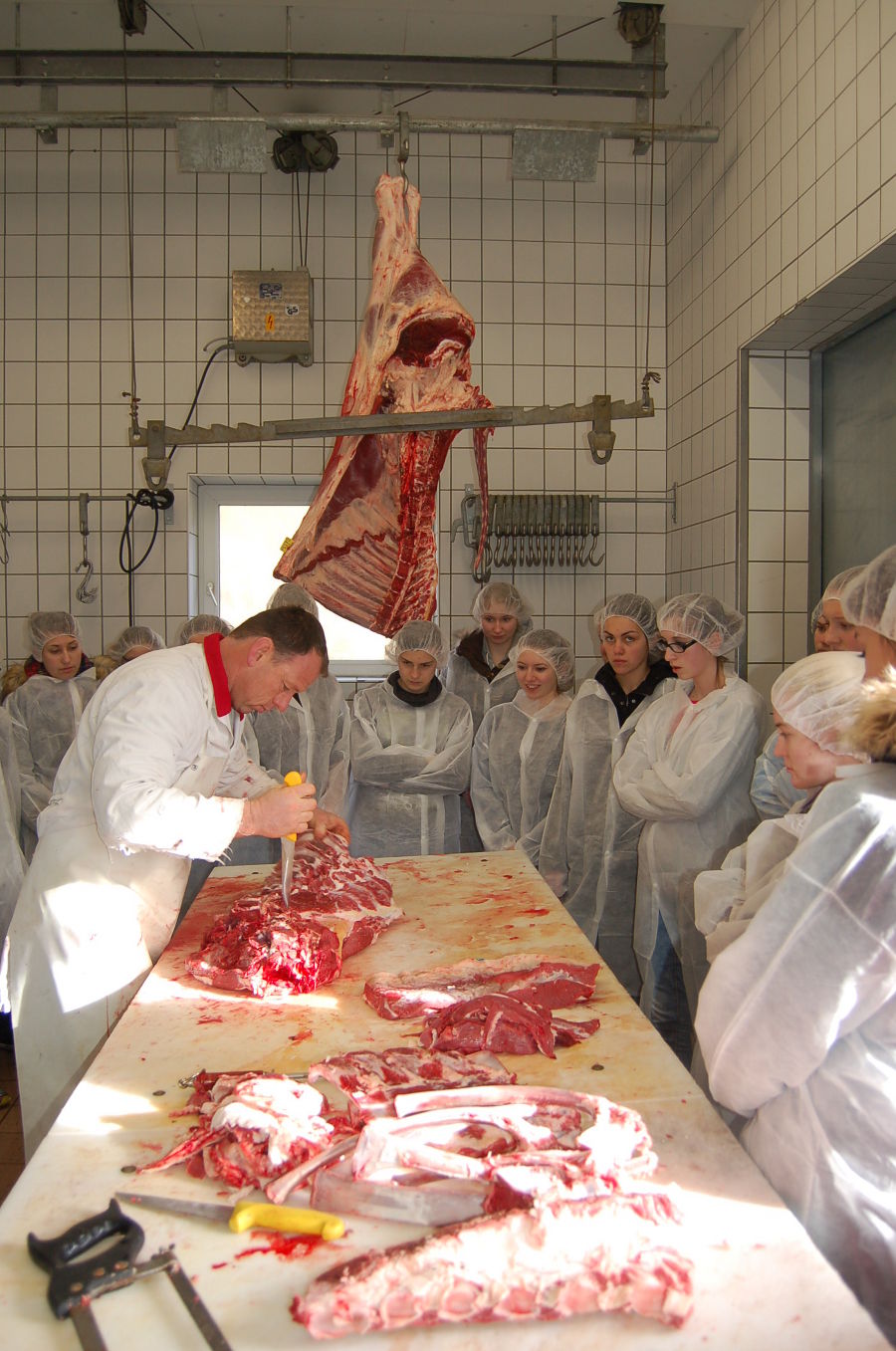 Rind zerteilen