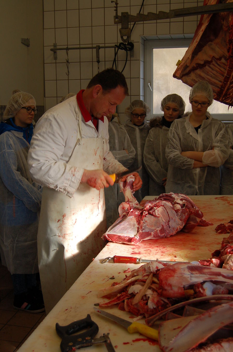 Rind zerteilen