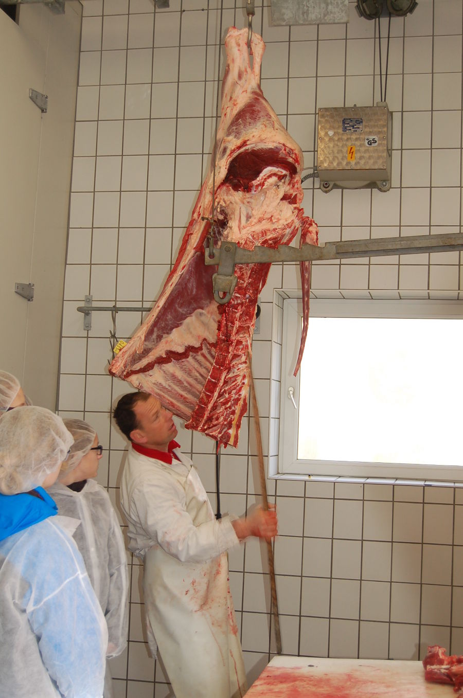 Rind zerteilen
