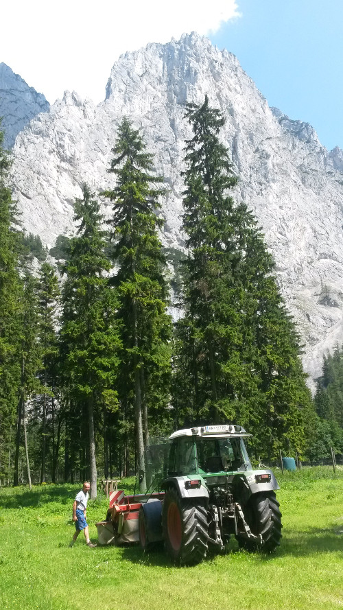 Mähen im Wildgehege