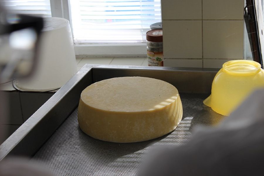 Betriebsbesichtigung