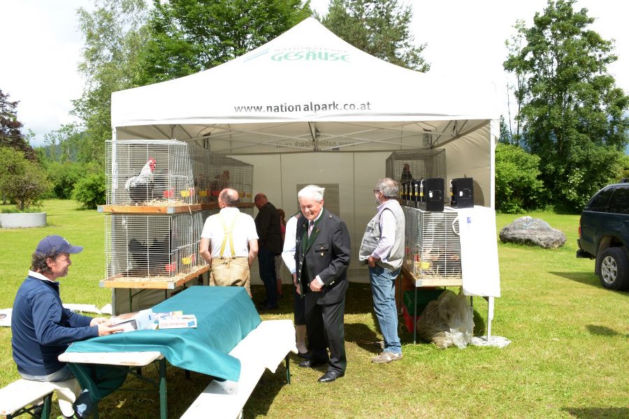 AV Treffen 2016