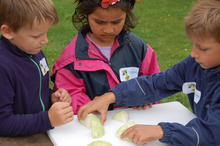 Kindergartenprojekt