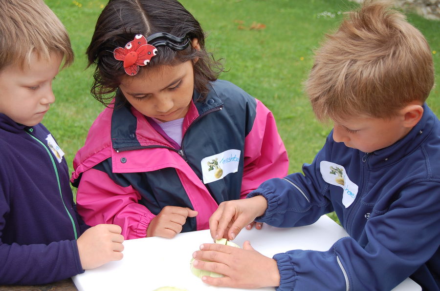 Kindergartenprojekt