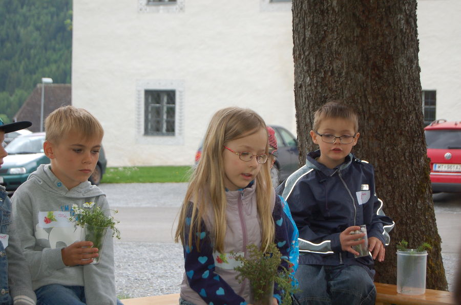 Kindergartenprojekt