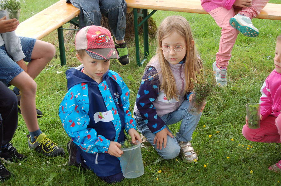 Kindergartenprojekt