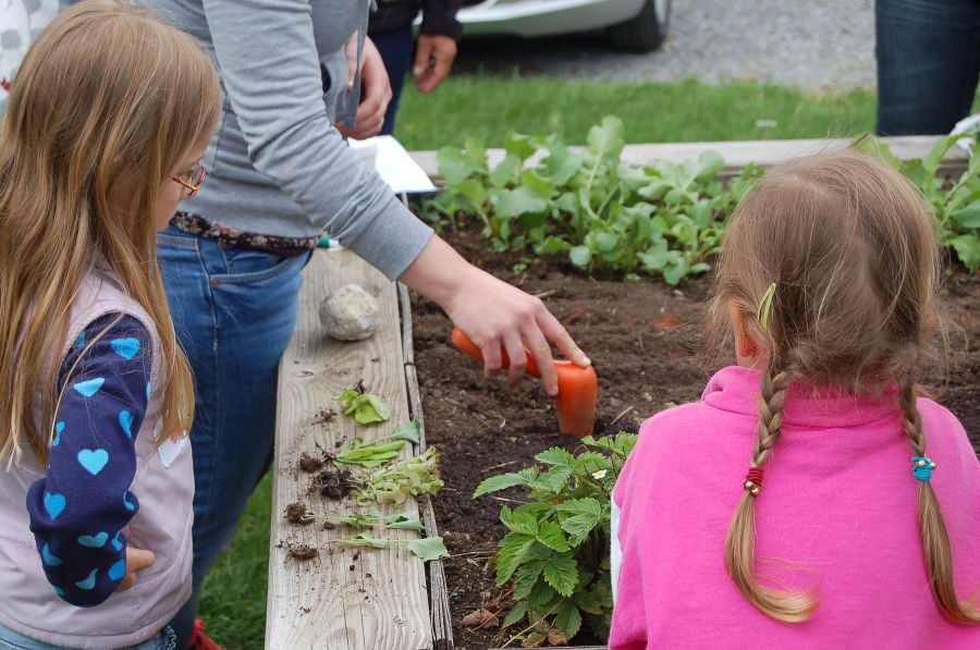 Kindergartenprojekt