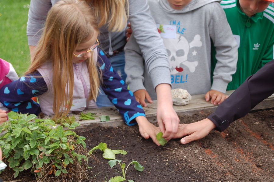 Kindergartenprojekt