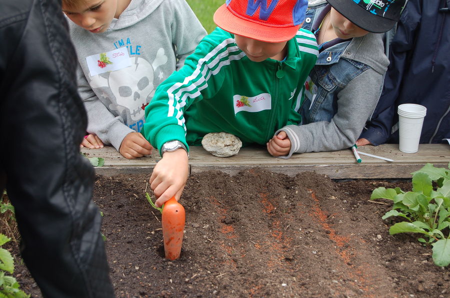 Kindergartenprojekt