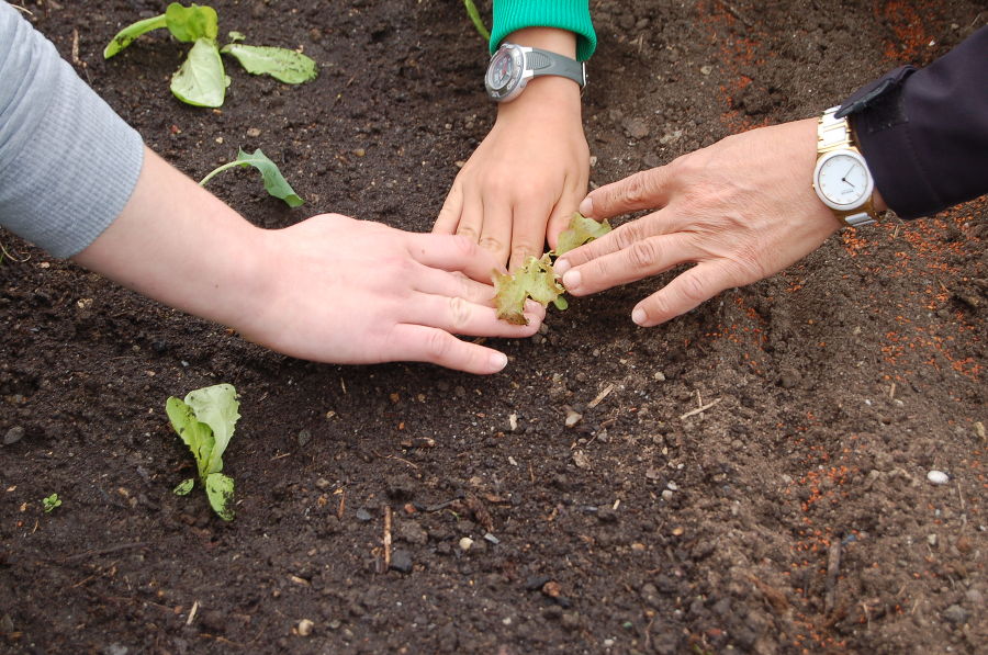 Kindergartenprojekt