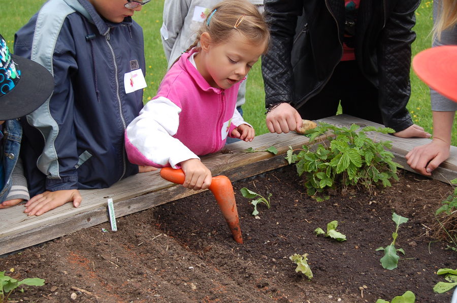 Kindergartenprojekt