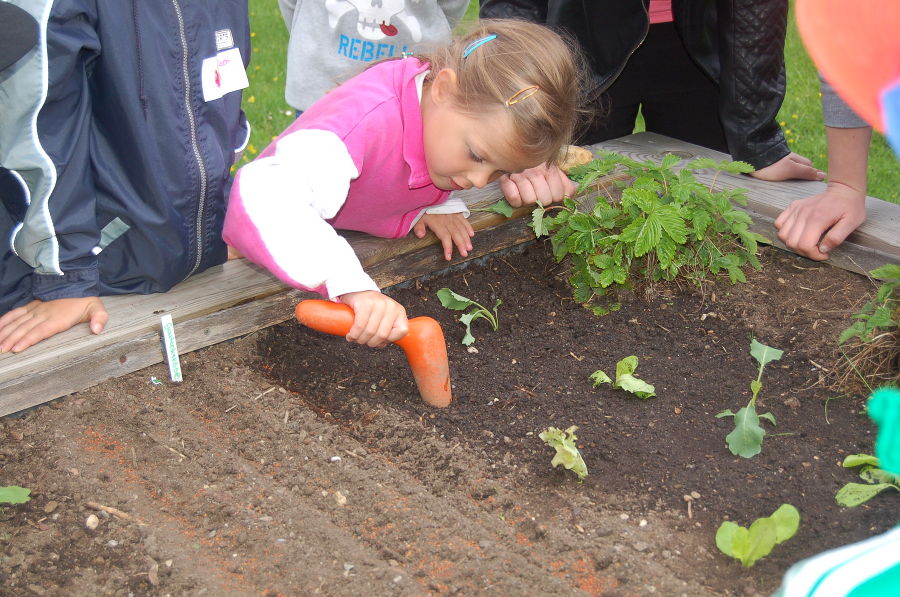 Kindergartenprojekt