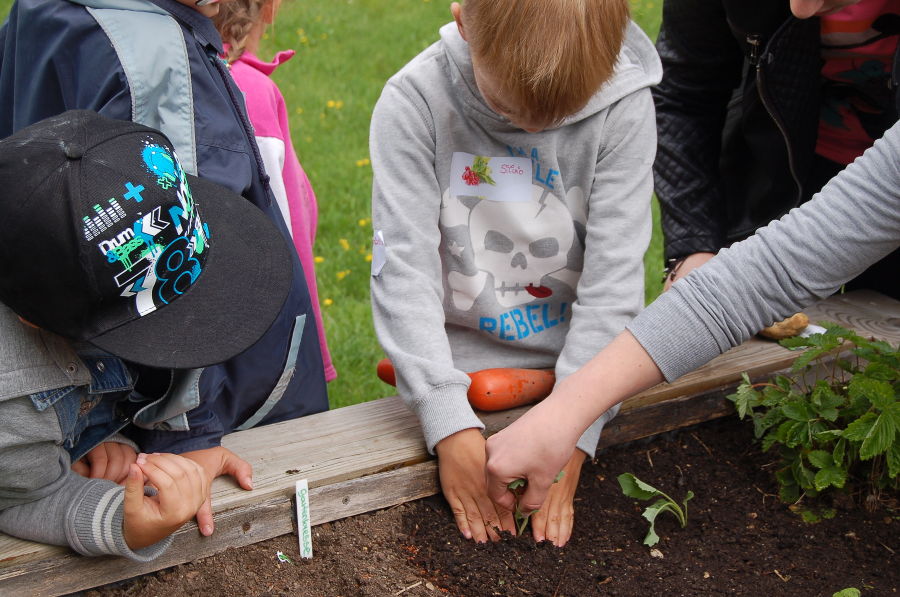 Kindergartenprojekt