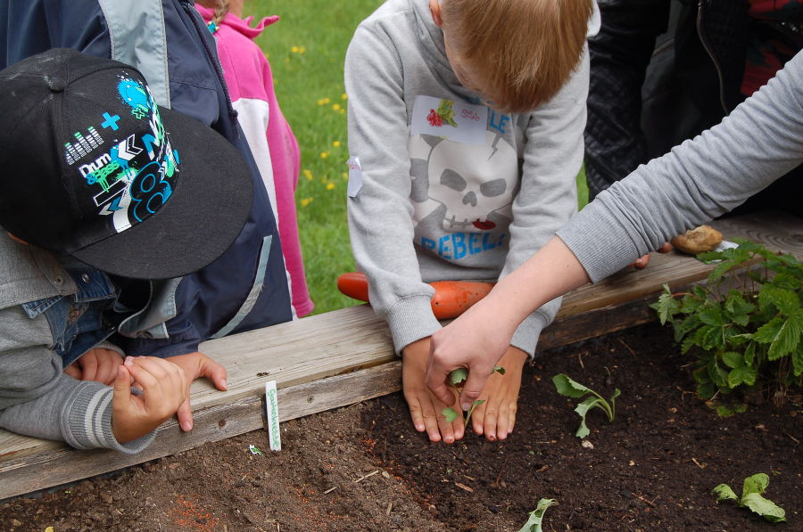 Kindergartenprojekt