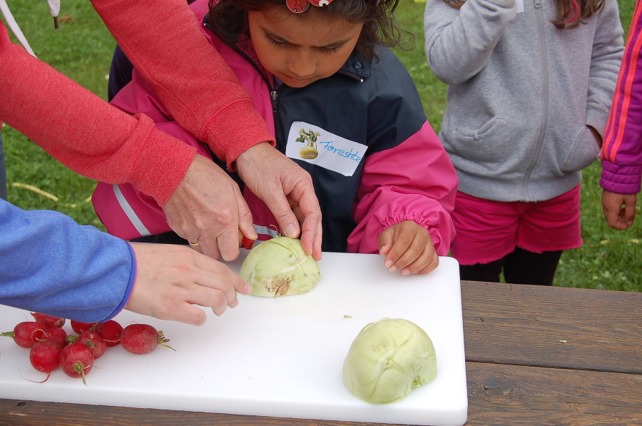 Kindergartenprojekt