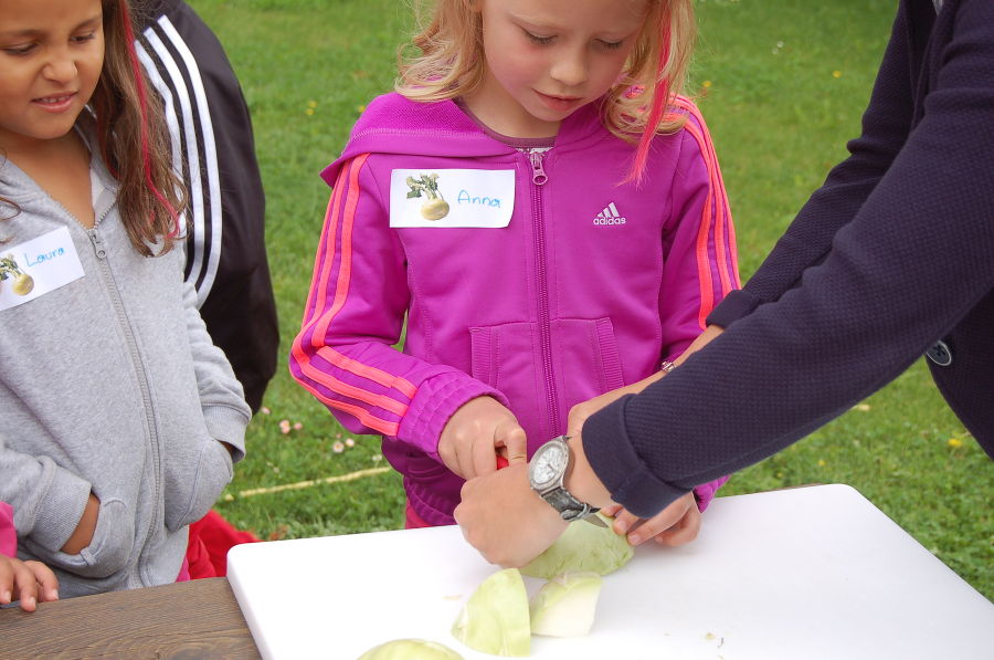 Kindergartenprojekt