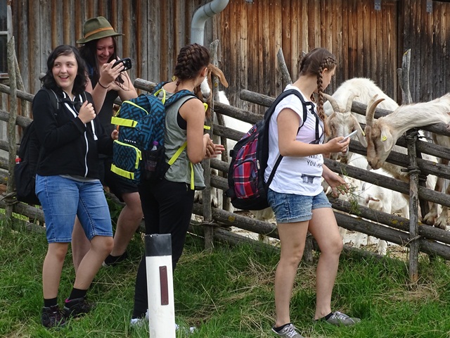 Wandertag-Bründlweg