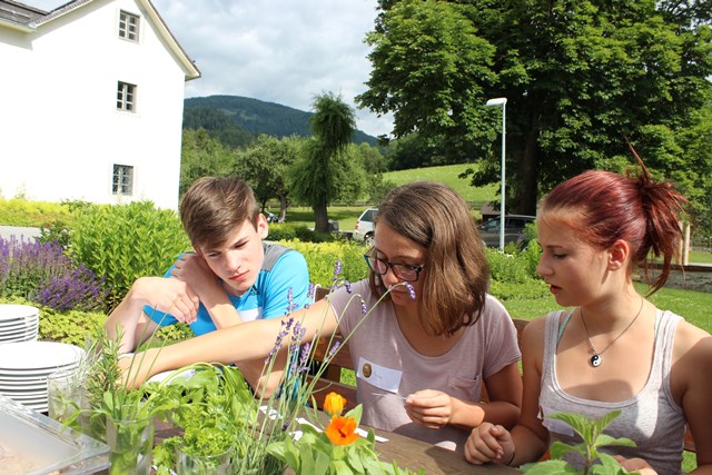 Projekt mit der NMS St. Lambrecht