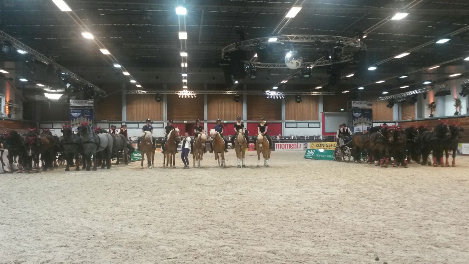 Pferdemesse Wels