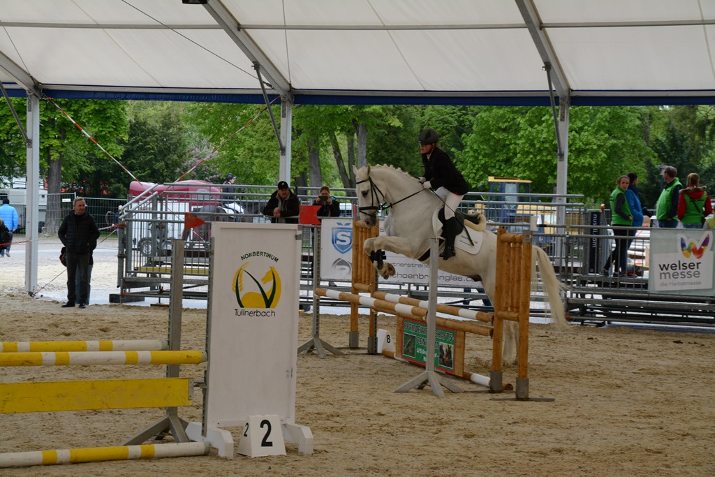 Pferdemesse Wels