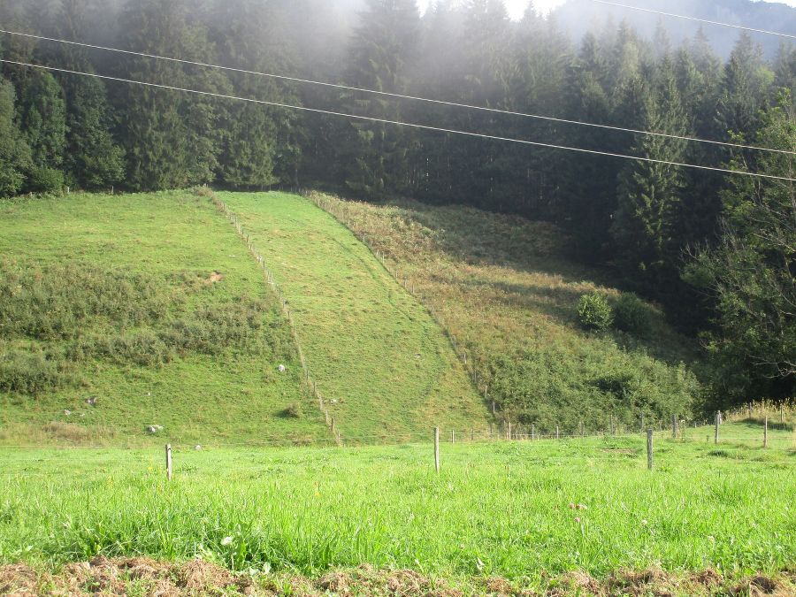Agrarpädagogika