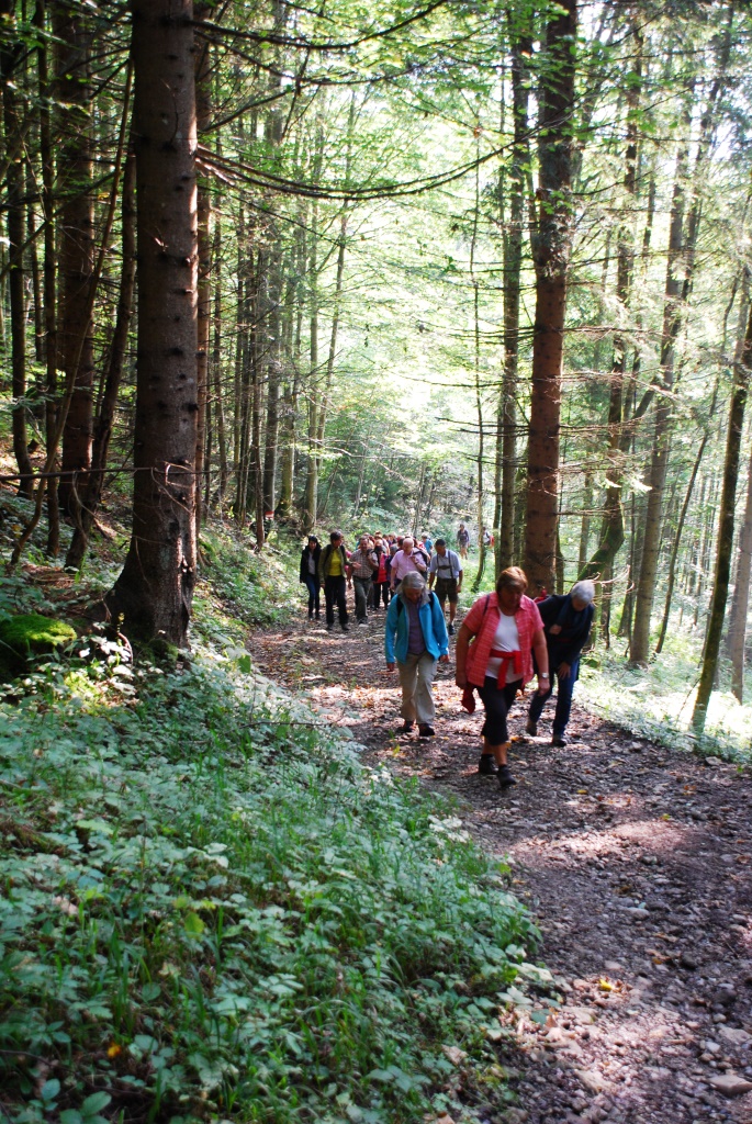 Grabneralm