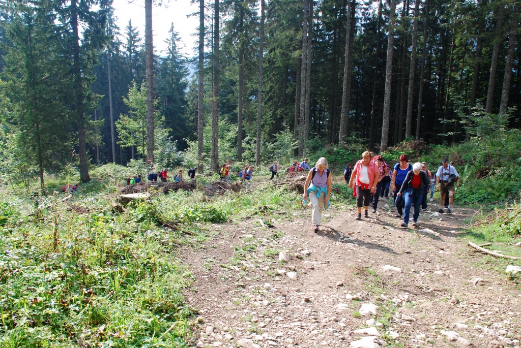 Grabneralm