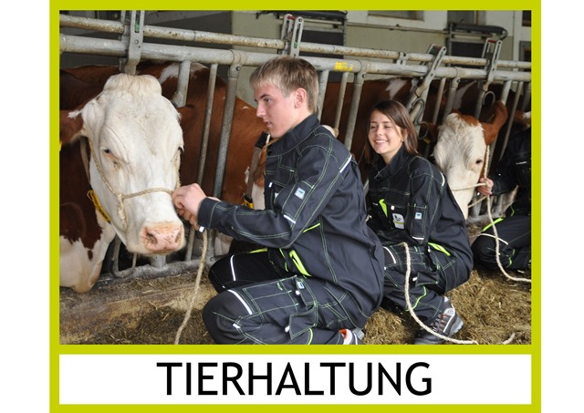 LFS Kirchberg am Walde